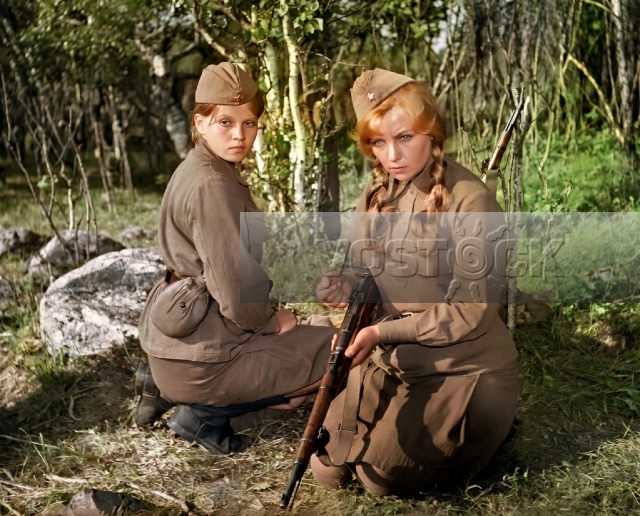 А зори здесь тихие (1972)