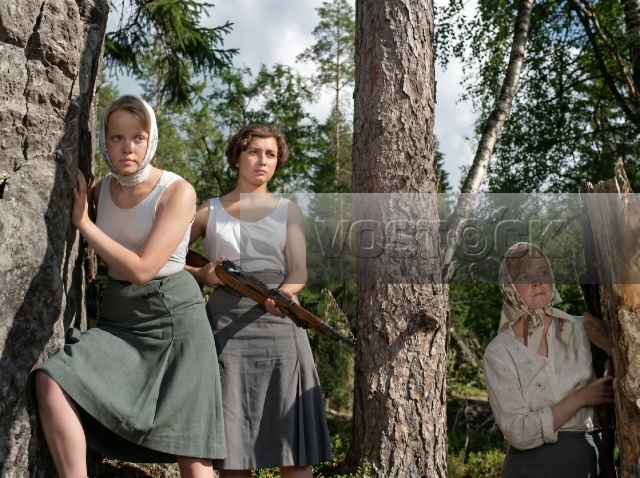 А зори здесь тихие (1972)