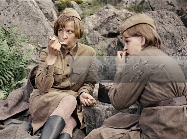 А зори здесь тихие (1972)