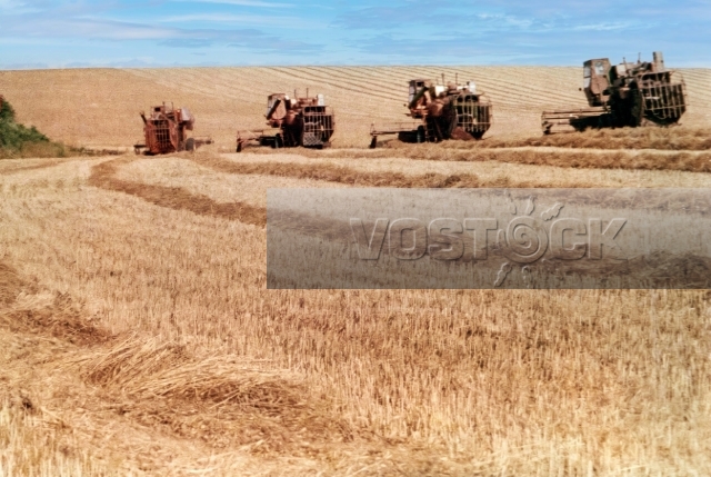 Алтай в моем сердце (1983)