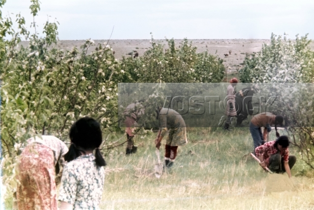 Алтай в моем сердце (1983)