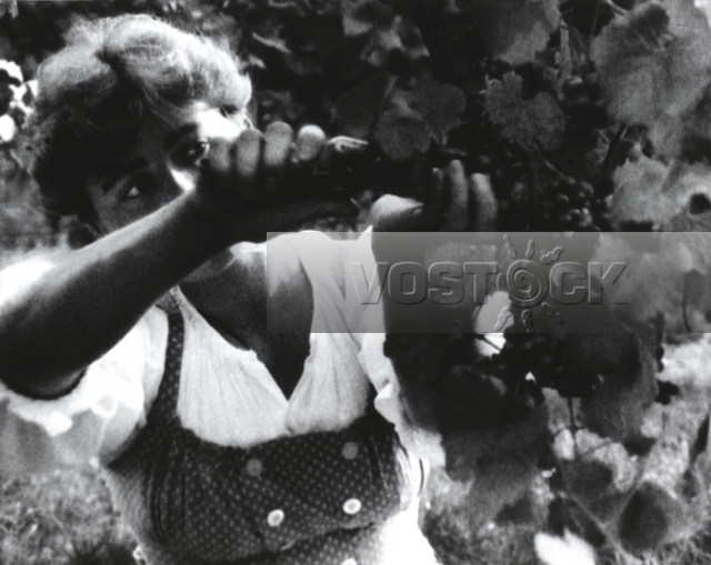 Австрия. Альпийская баллада (1989)