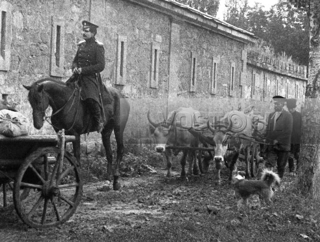 Бэла (1913)