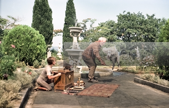 Белый пудель (1955)