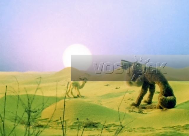Белый верблюжонок (1974)