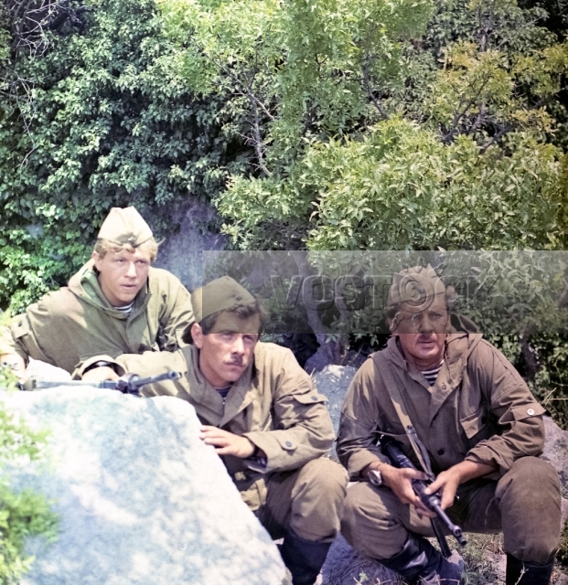 Берем все на себя (1980)