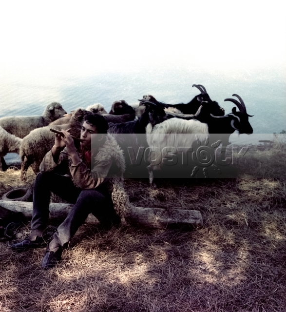 Бесаме (1989)