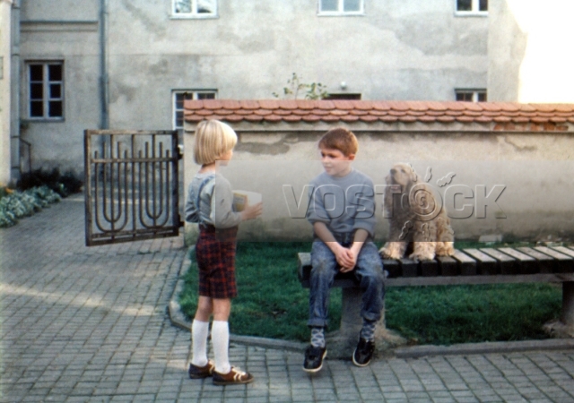 Безумная Лори (1991)