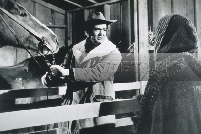 День преступника (1959)