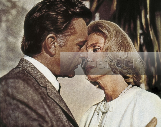 Кулик (1965)