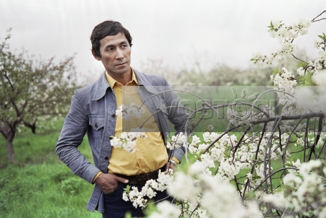 Мужчины без женщин (1981)