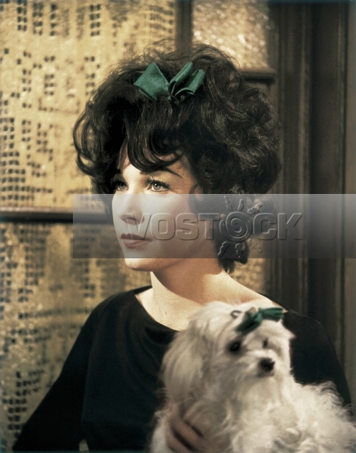 Нежная Ирма (1963)