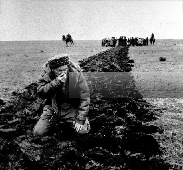 Вкус хлеба (1979)