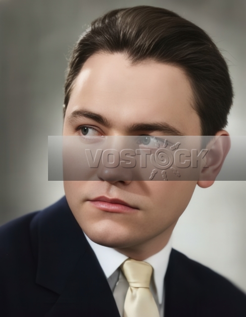 Владимир Земляникин