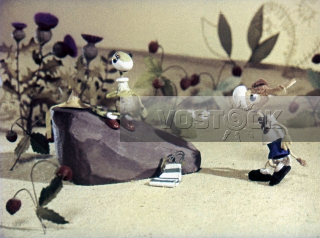 Заветная мечта (1972)
