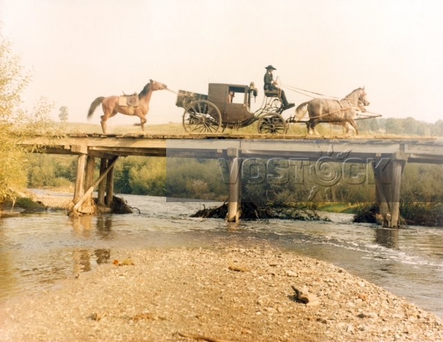 Желтая роза (1983)