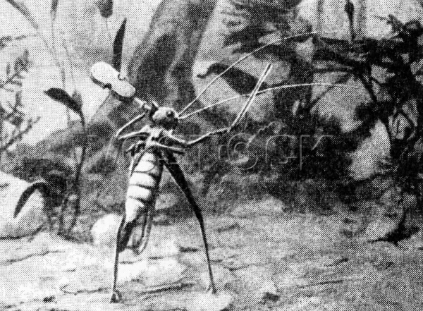 Стрекоза и муравей (1913)